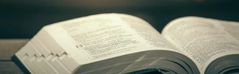 A word from The Rt. Rev. Craig Loya, X Bishop of Minnesota